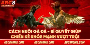 cách nuôi gà đá