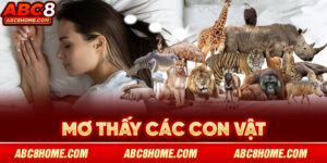 số mở lô đề các con vật