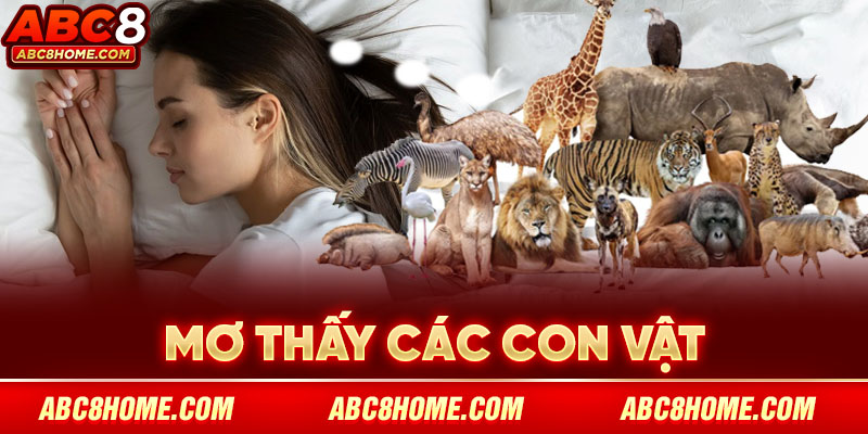 Số Mơ Lô Đề Các Con Vật - Bộ Số May Mắn Trong Năm 2025 4 số mở lô đề các con vật